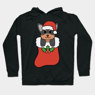 Christmas Black and Brown Chihuahua Stocking Hoodie